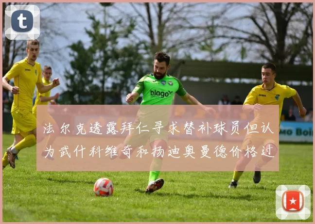 法尔克透露拜仁寻求替补球员但认为武什科维奇和扬迪奥曼德价格过高